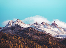 开云体育官网：开启专属于你的精彩投注之旅