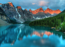 GA黄金甲官方网站：守护从信任开始，防护从官方出发